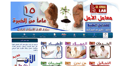 Desktop Screenshot of elamallab.com